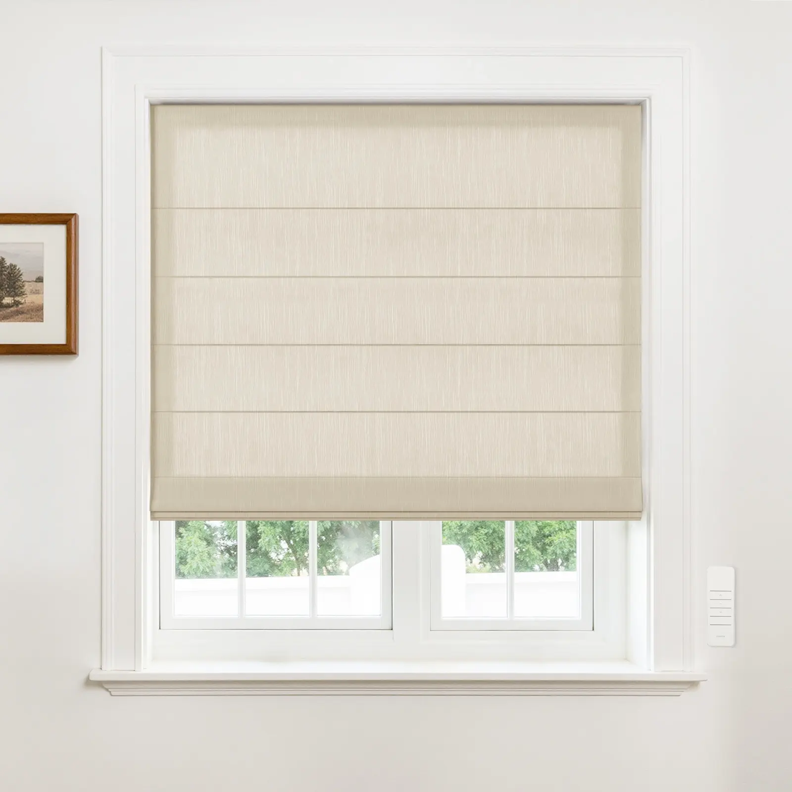 Alvin Motorized Sheer Light Filtering Roman Shade - Image 13