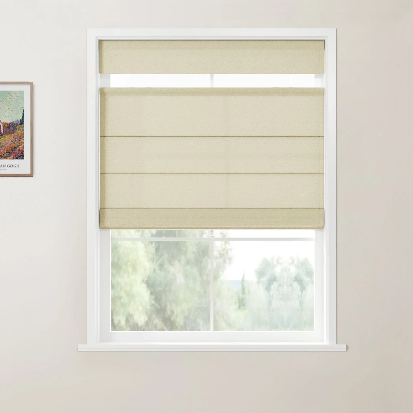 Andy Top Down Bottom Up Roman Shade Cordless