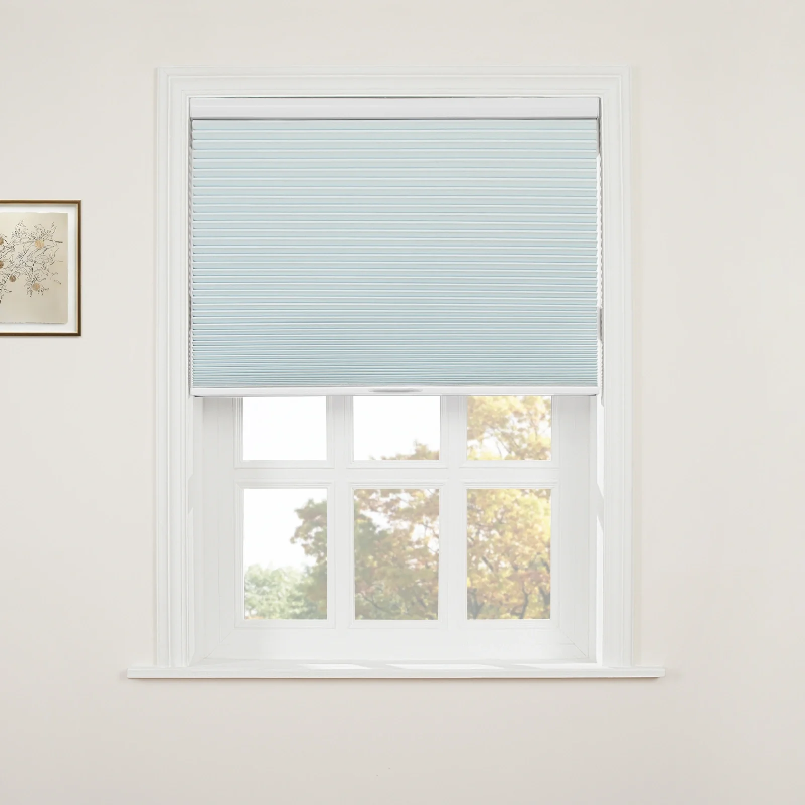 Aura Blackout Cellular Window Shades Cordless - Image 17