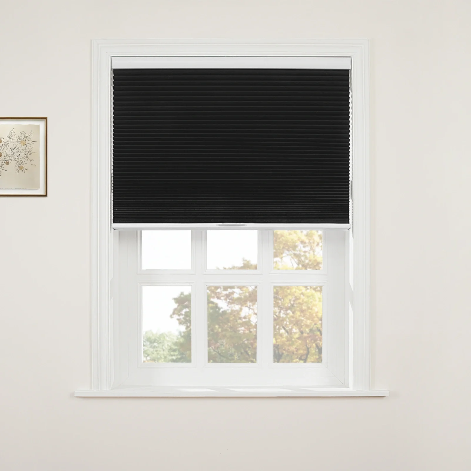 Aura Blackout Cellular Window Shades Cordless - Image 45