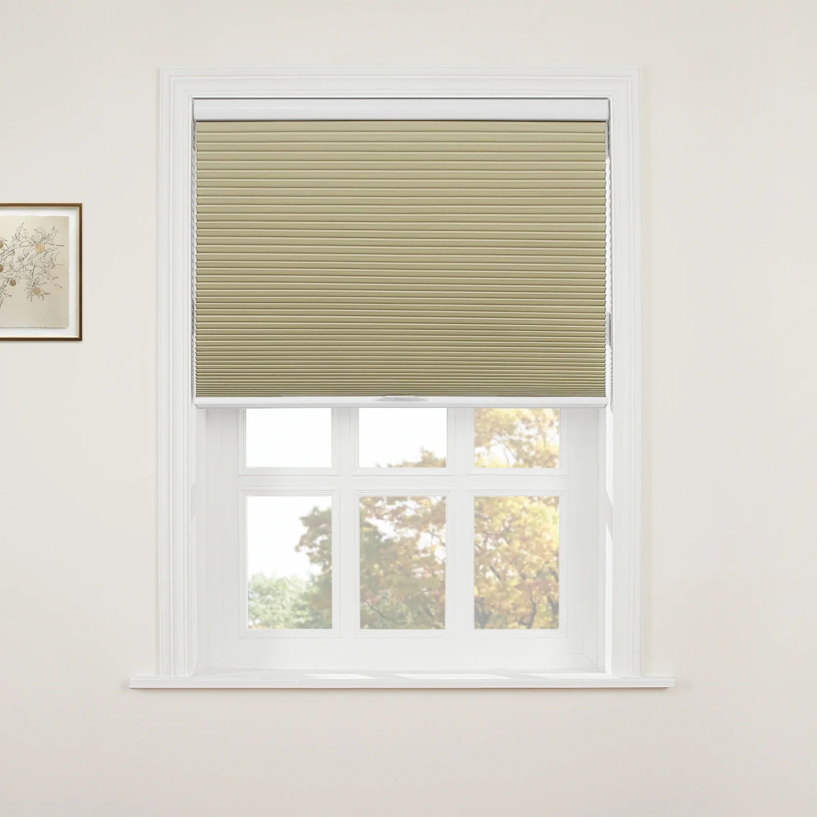 Aura Blackout Cellular Window Shades Cordless - Image 54