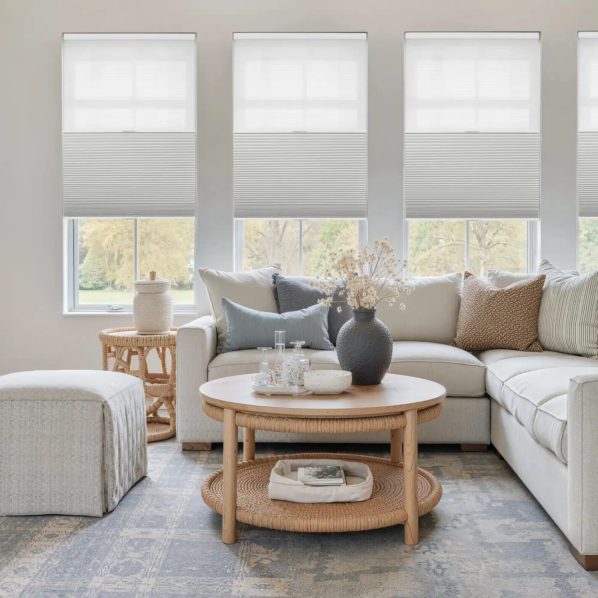 Aura Day Night Blackout Cellular Shades Cordless - Image 14