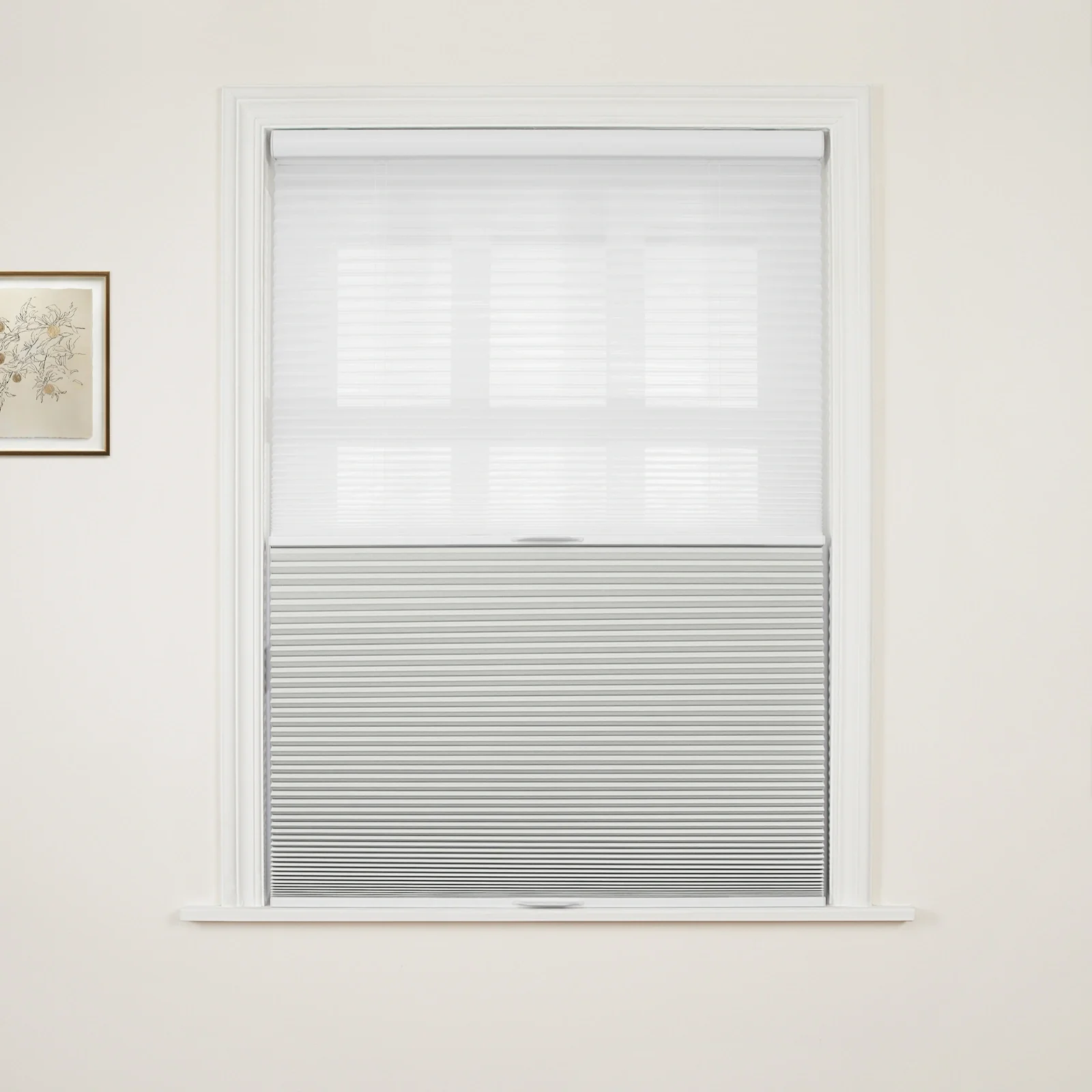 Aura Day Night Blackout Cellular Shades Cordless - Image 16