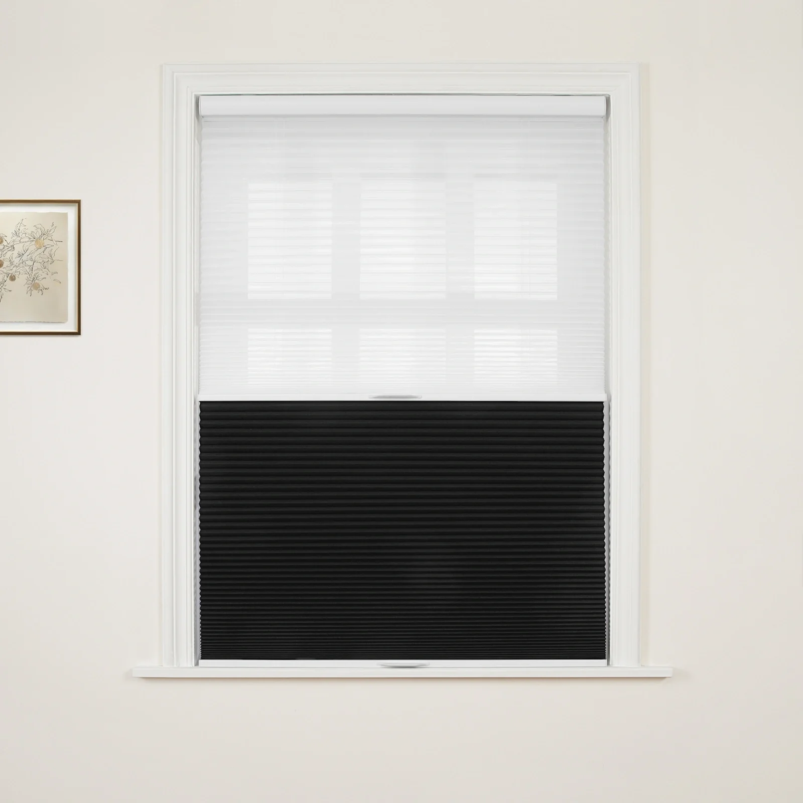 Aura Day Night Blackout Cellular Shades Cordless - Image 27