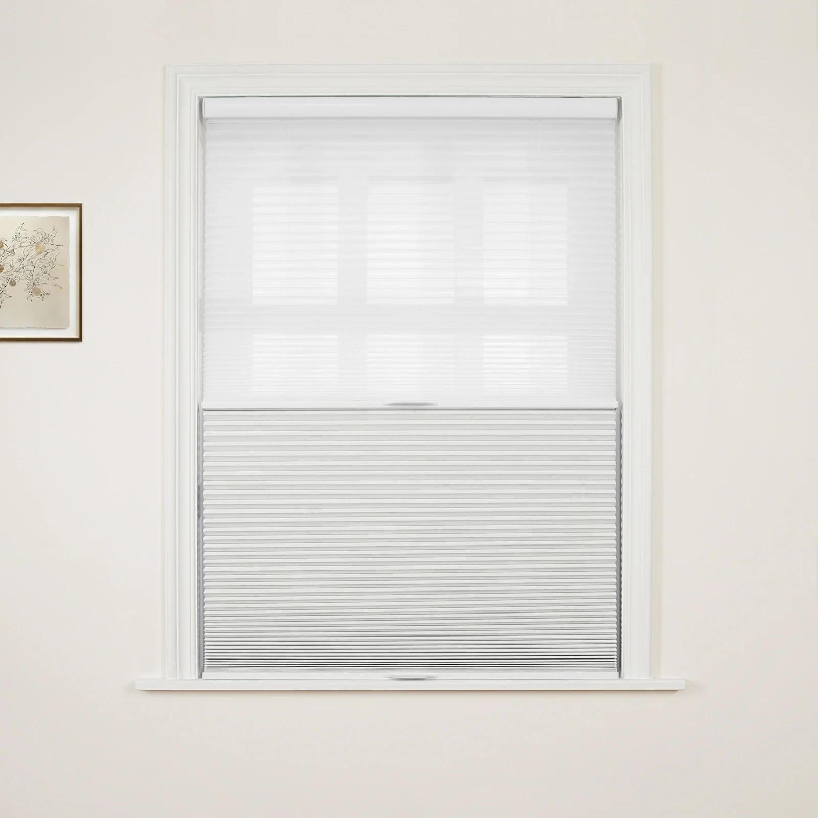 Aura Day Night Blackout Cellular Shades Cordless - Image 6
