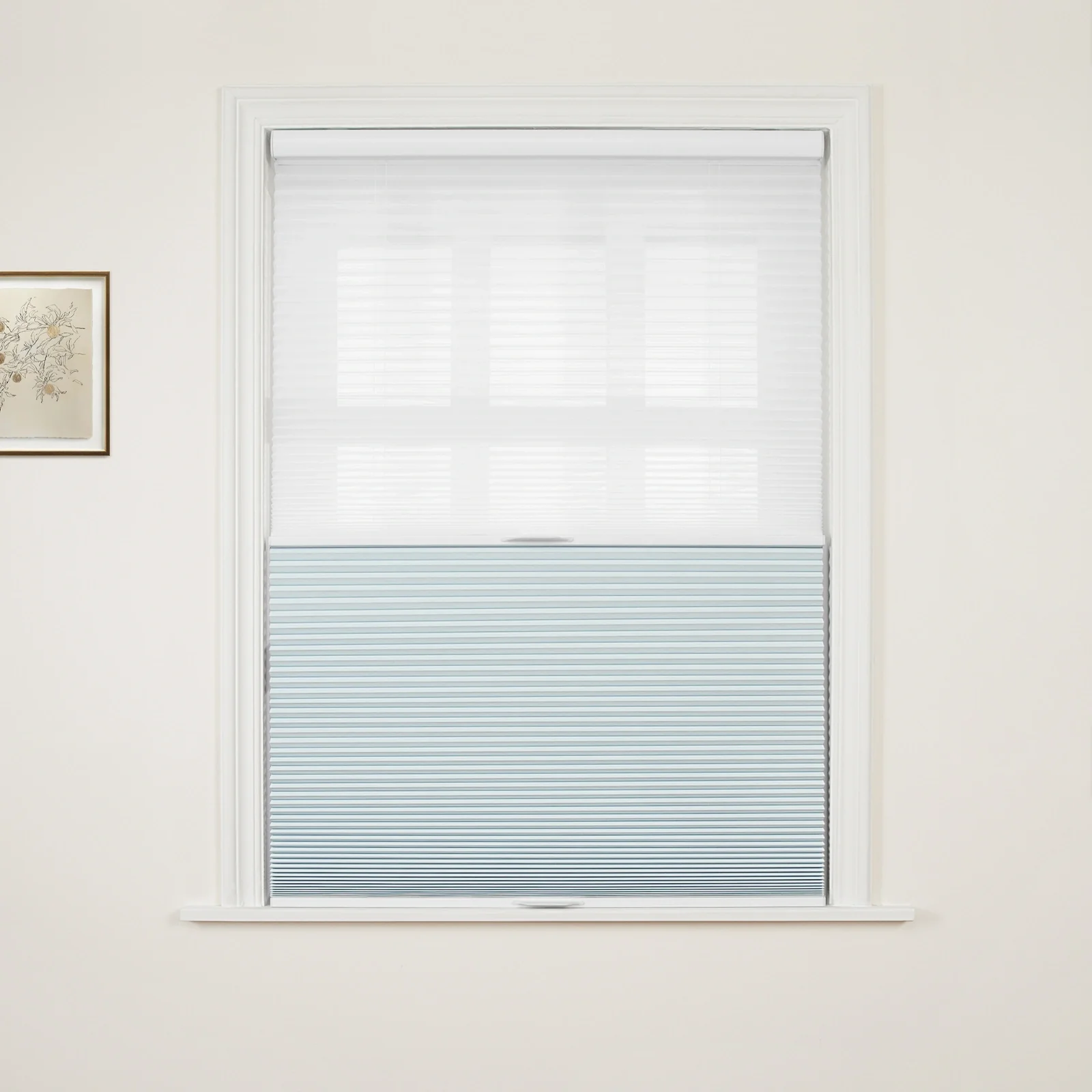 Aura Day Night Blackout Cellular Shades Cordless - Image 8
