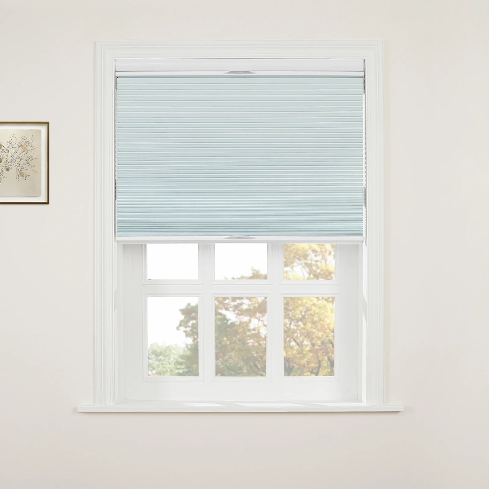 Aura Top Down Bottom Up Blackout Cellular Window Shades Cordless - Image 11