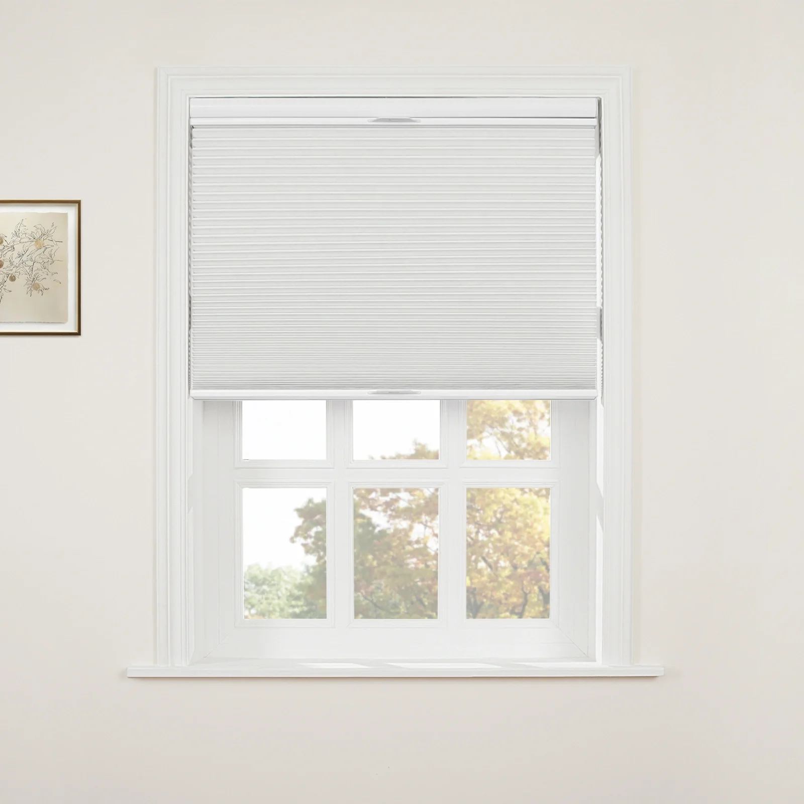 Aura Top Down Bottom Up Blackout Cellular Window Shades Cordless - Image 2
