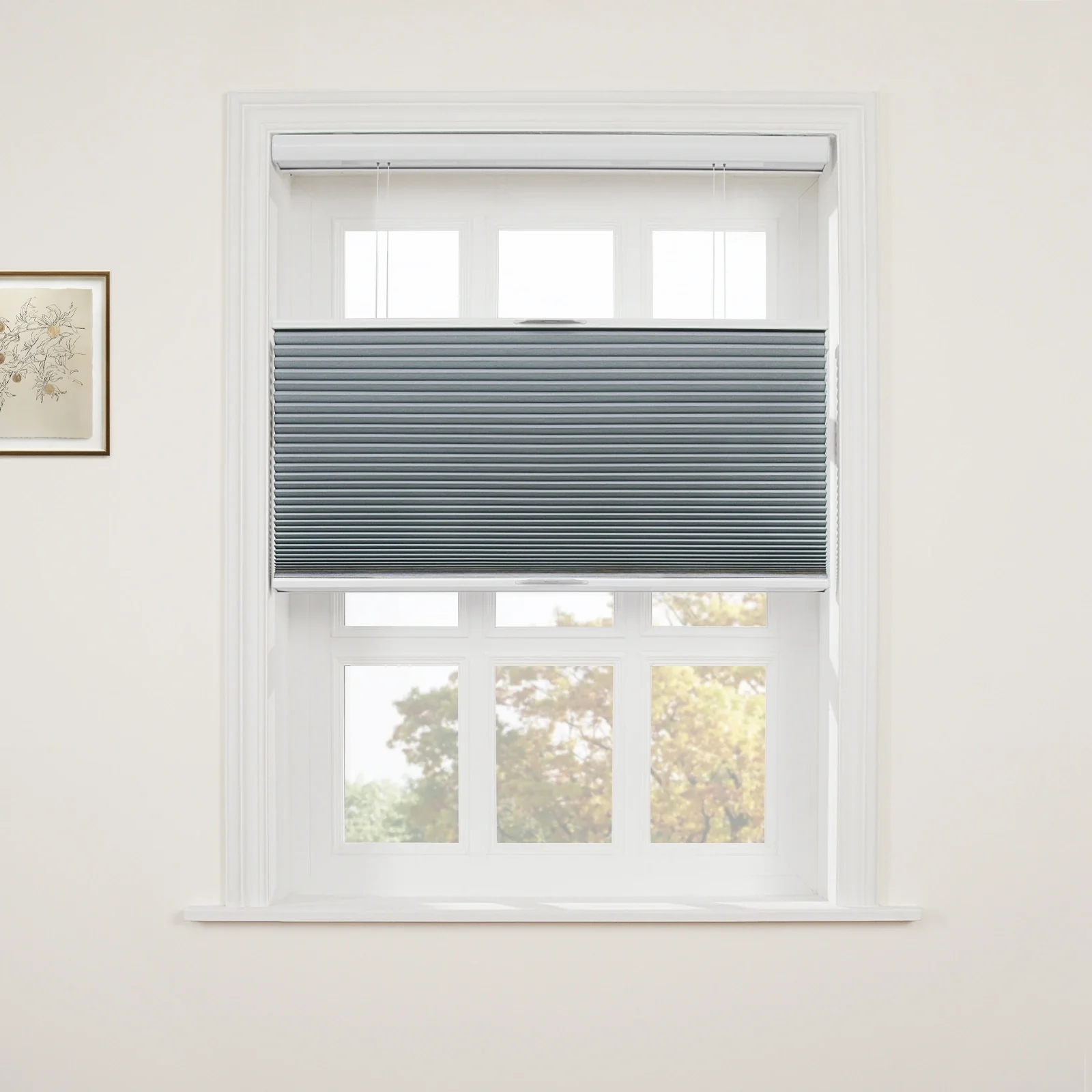 Aura Top Down Bottom Up Blackout Cellular Window Shades Cordless - Image 26