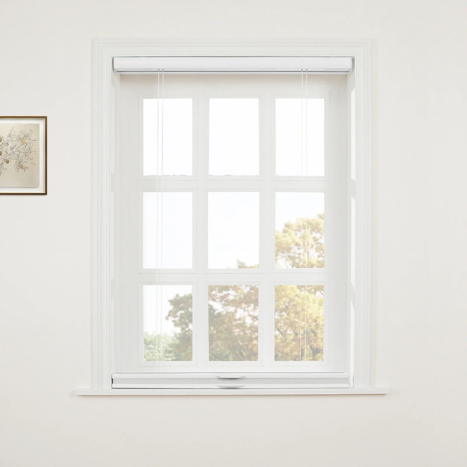 Aura Top Down Bottom Up Blackout Cellular Window Shades Cordless - Image 4