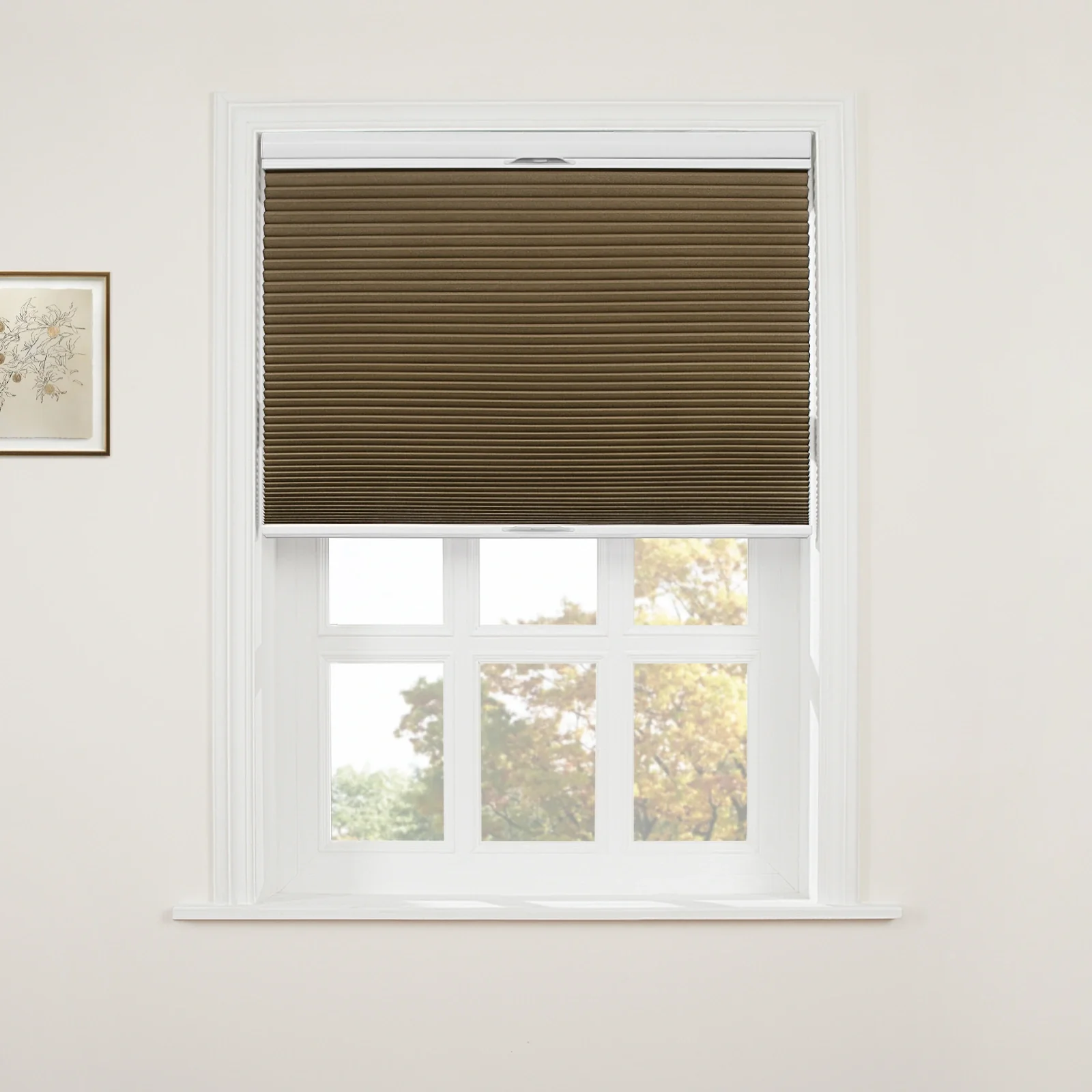 Aura Top Down Bottom Up Blackout Cellular Window Shades Cordless - Image 50