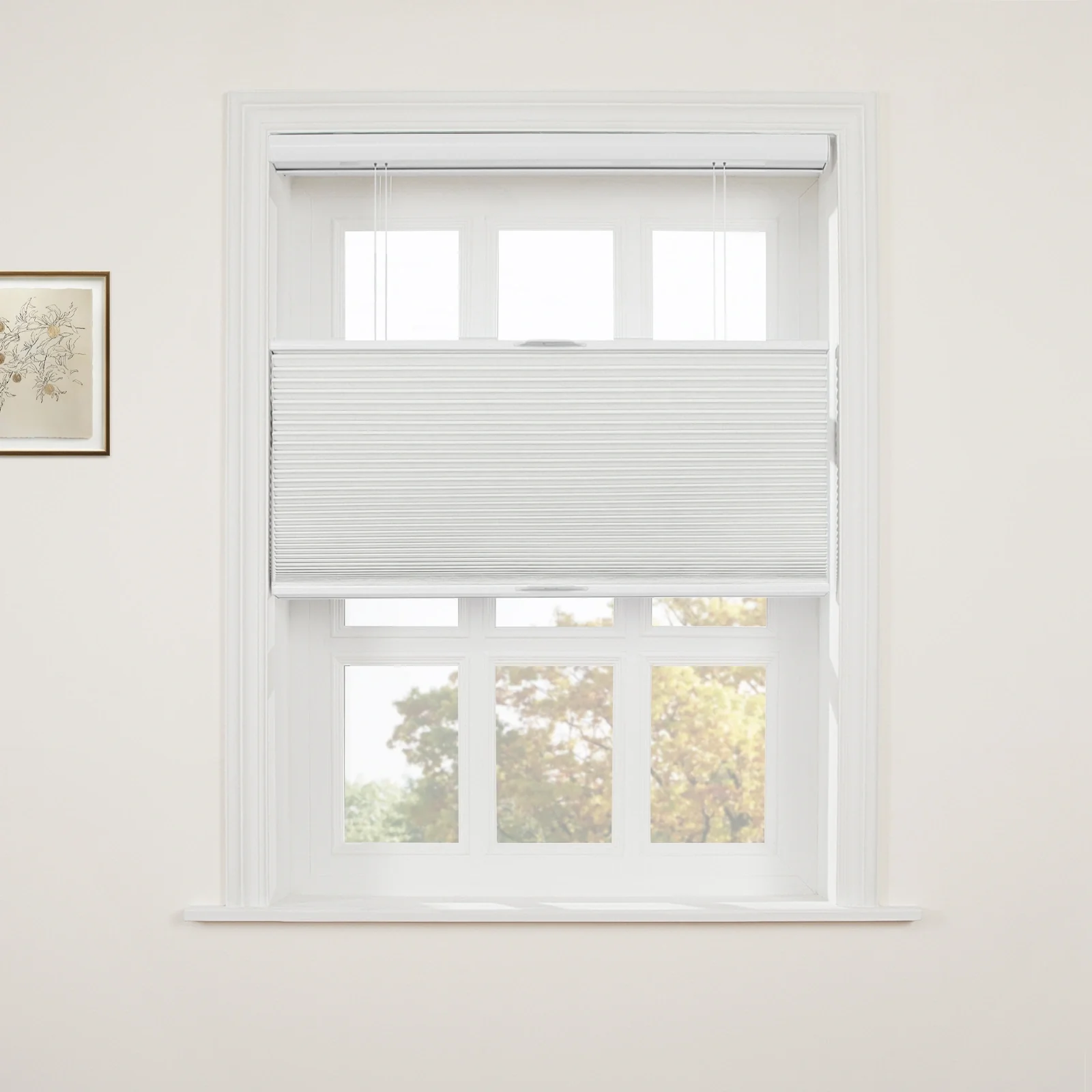 Aura Top Down Bottom Up Blackout Cellular Window Shades Cordless - Image 8