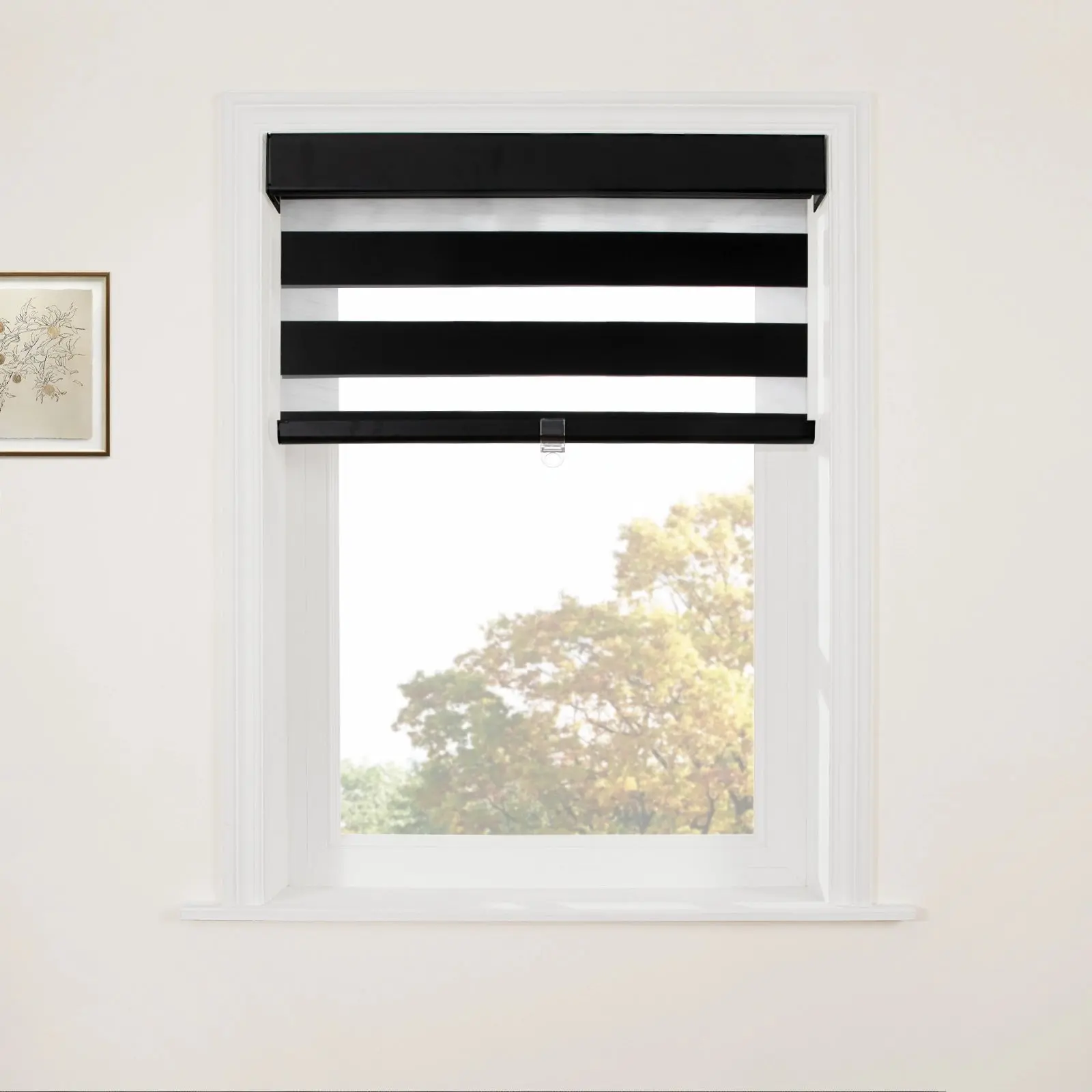 Brio Blackout Zebra Shade Cordless - Image 33