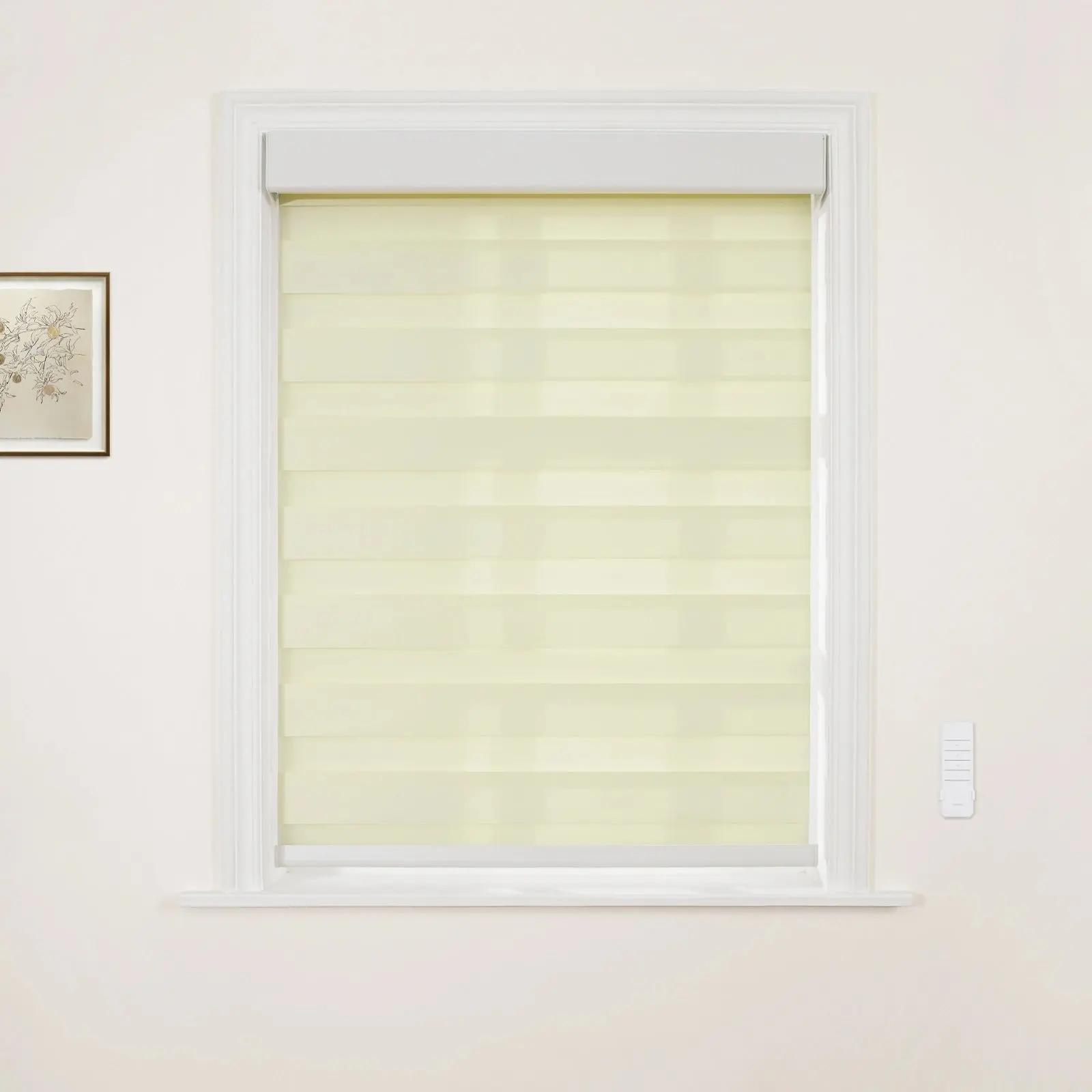 Brio Motorized Blackout Zebra Shade Cordless - Image 10