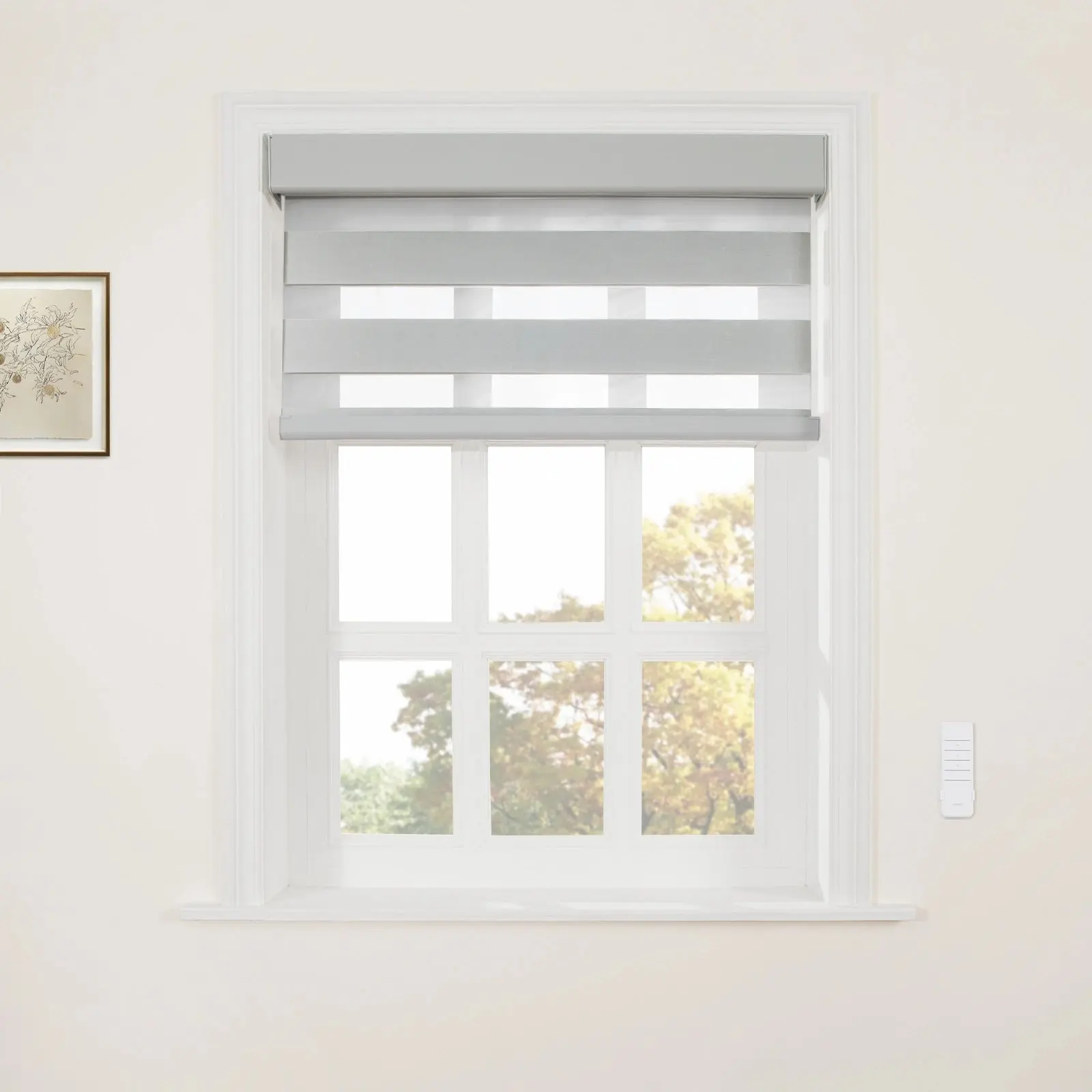 Brio Motorized Blackout Zebra Shade Cordless - Image 14