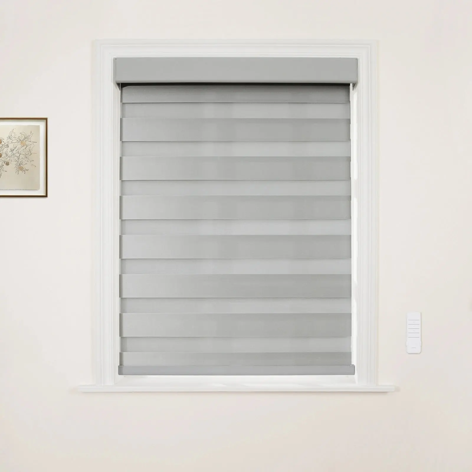 Brio Motorized Blackout Zebra Shade Cordless - Image 16