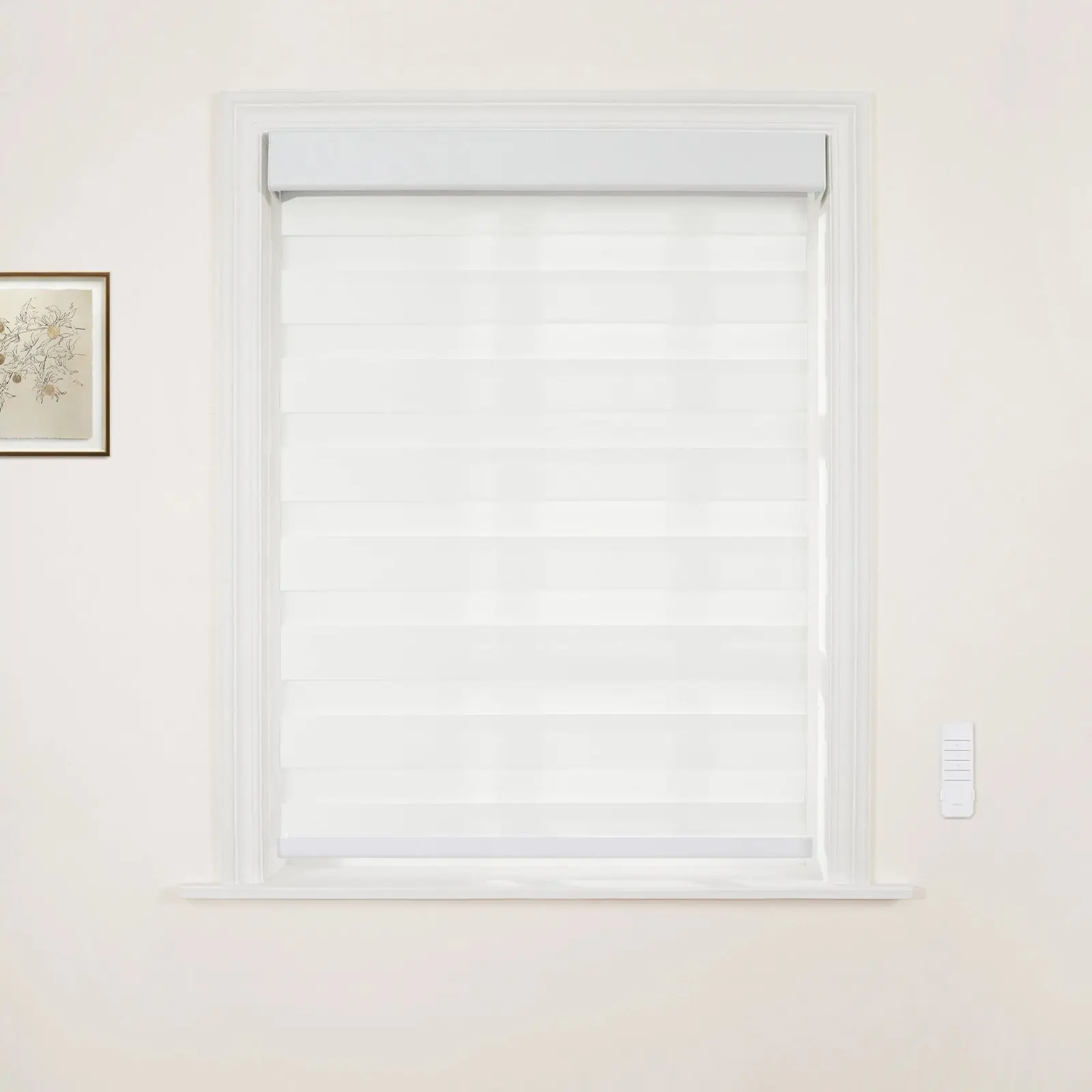 Brio Motorized Blackout Zebra Shade Cordless - Image 2