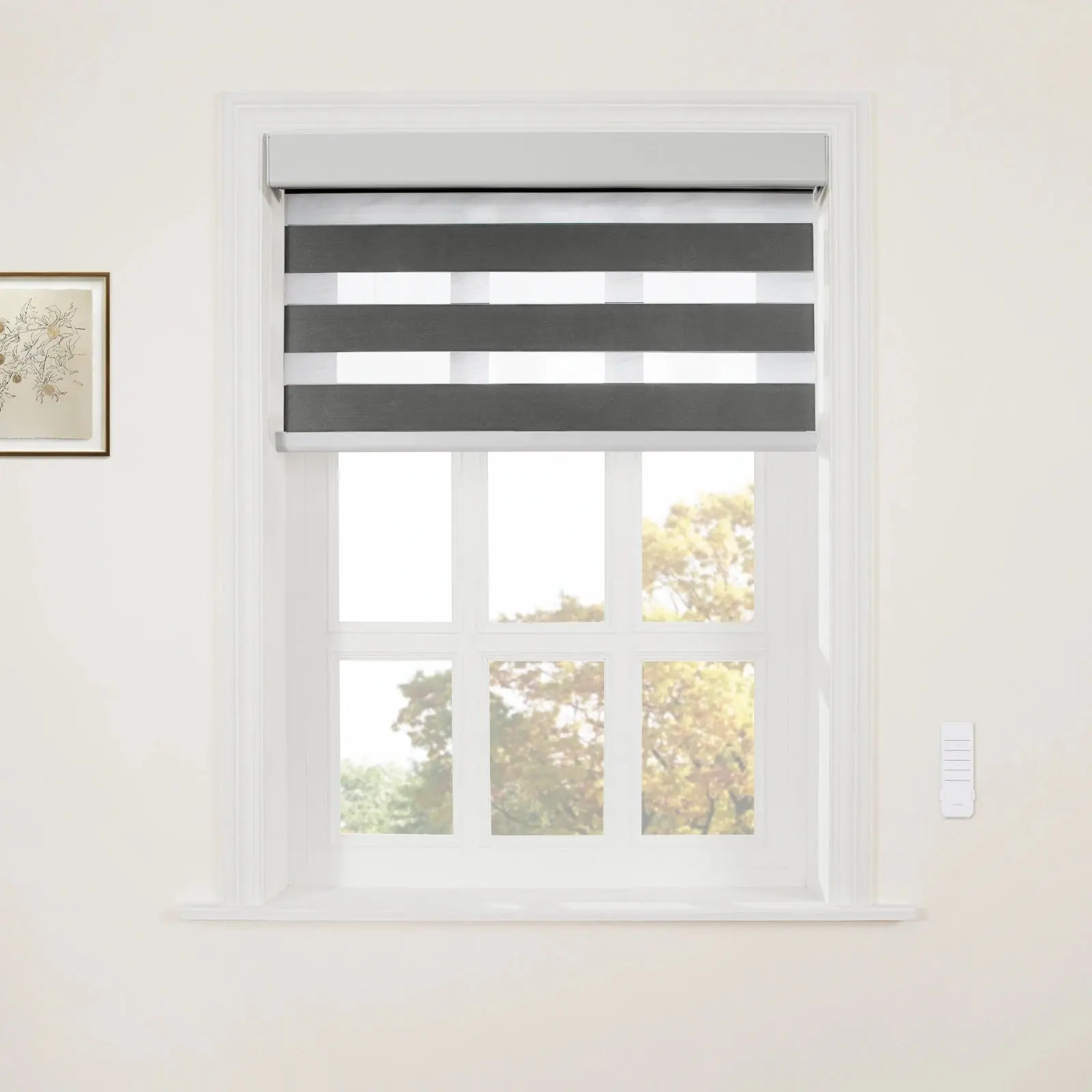 Brio Motorized Blackout Zebra Shade Cordless - Image 20