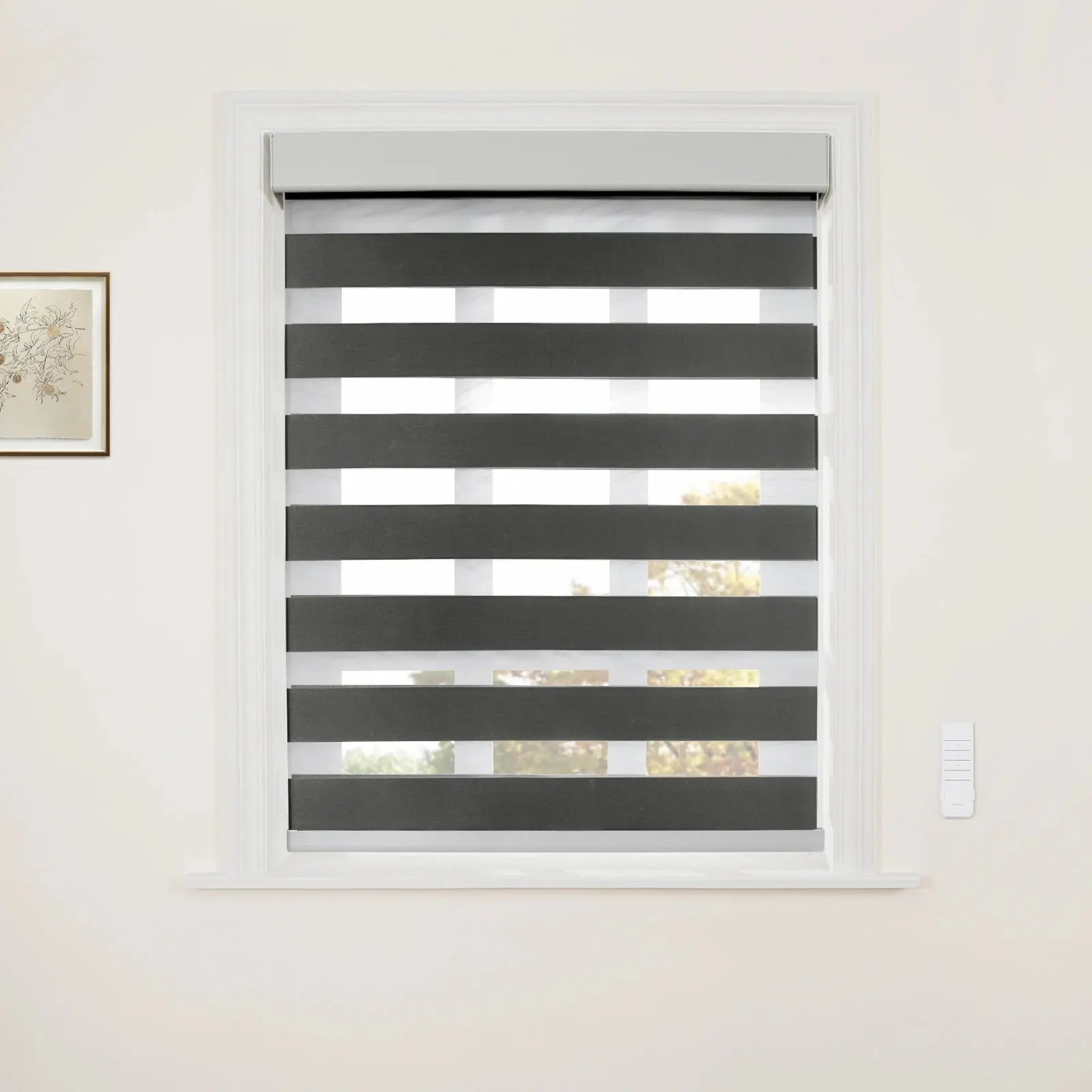 Brio Motorized Blackout Zebra Shade Cordless - Image 21