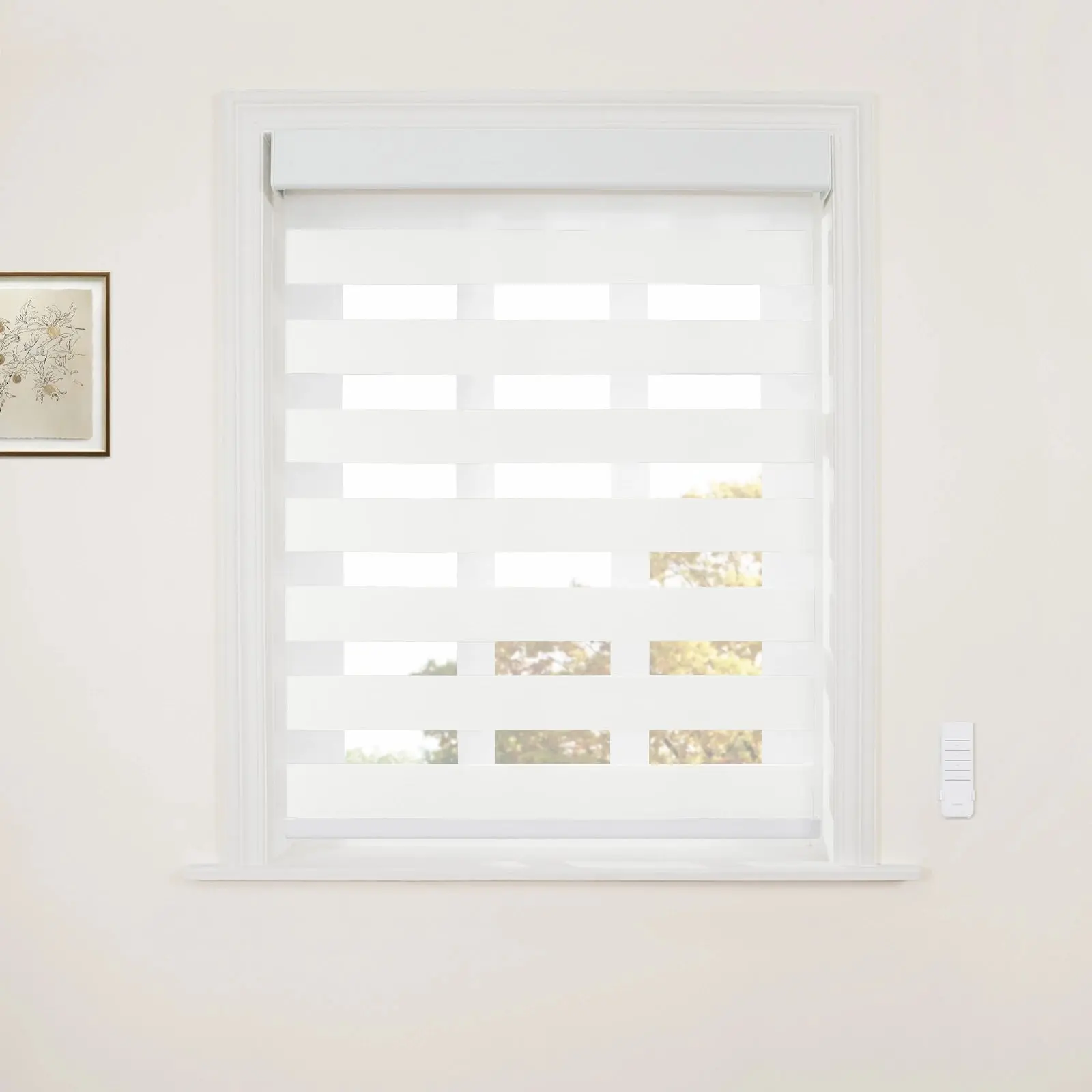 Brio Motorized Blackout Zebra Shade Cordless - Image 6