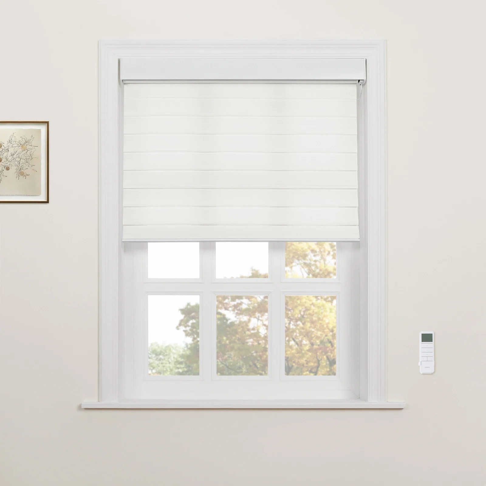 Motorized Shangri-La Light Filtering Sheer Shade - Image 17