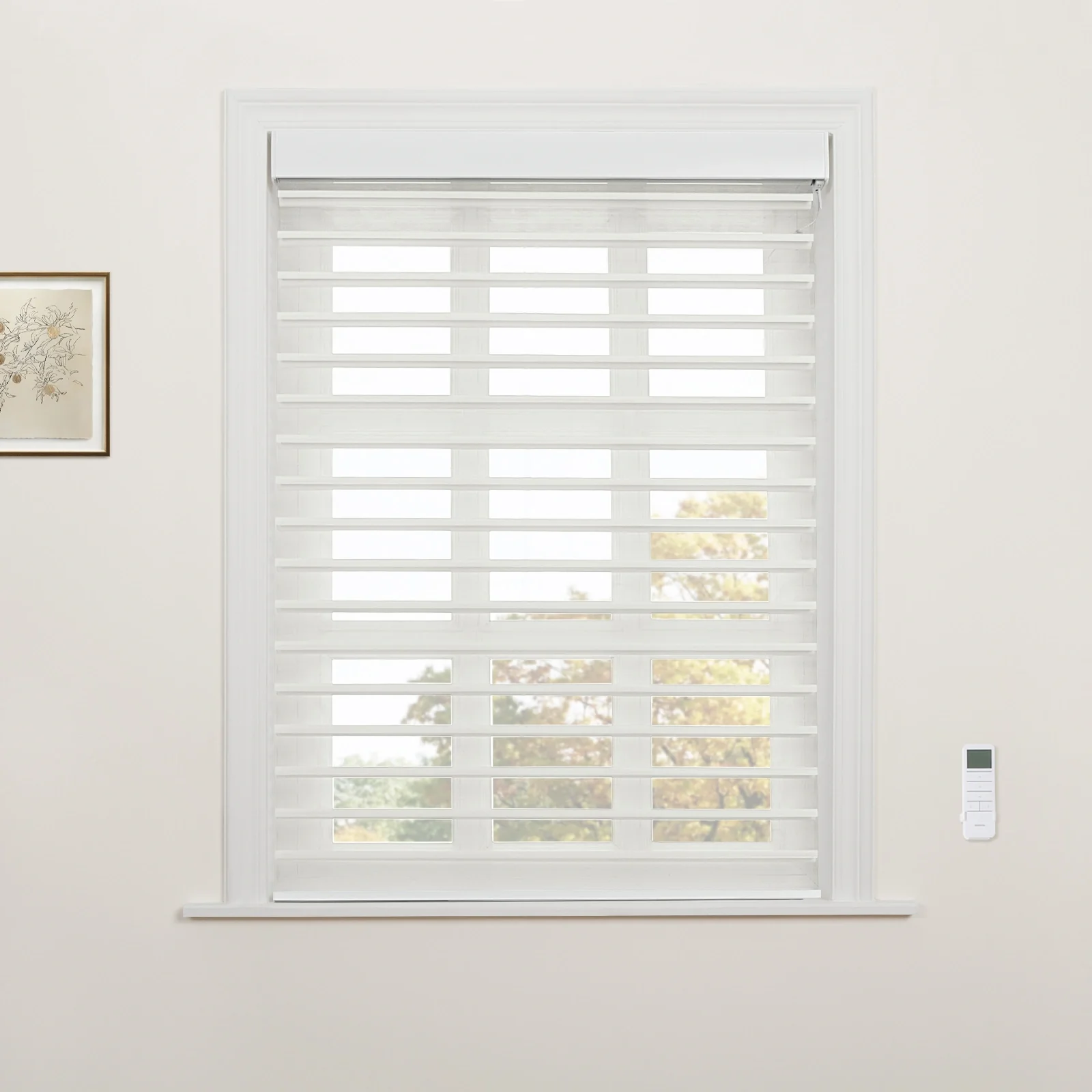 Motorized Shangri-La Light Filtering Sheer Shade - Image 18