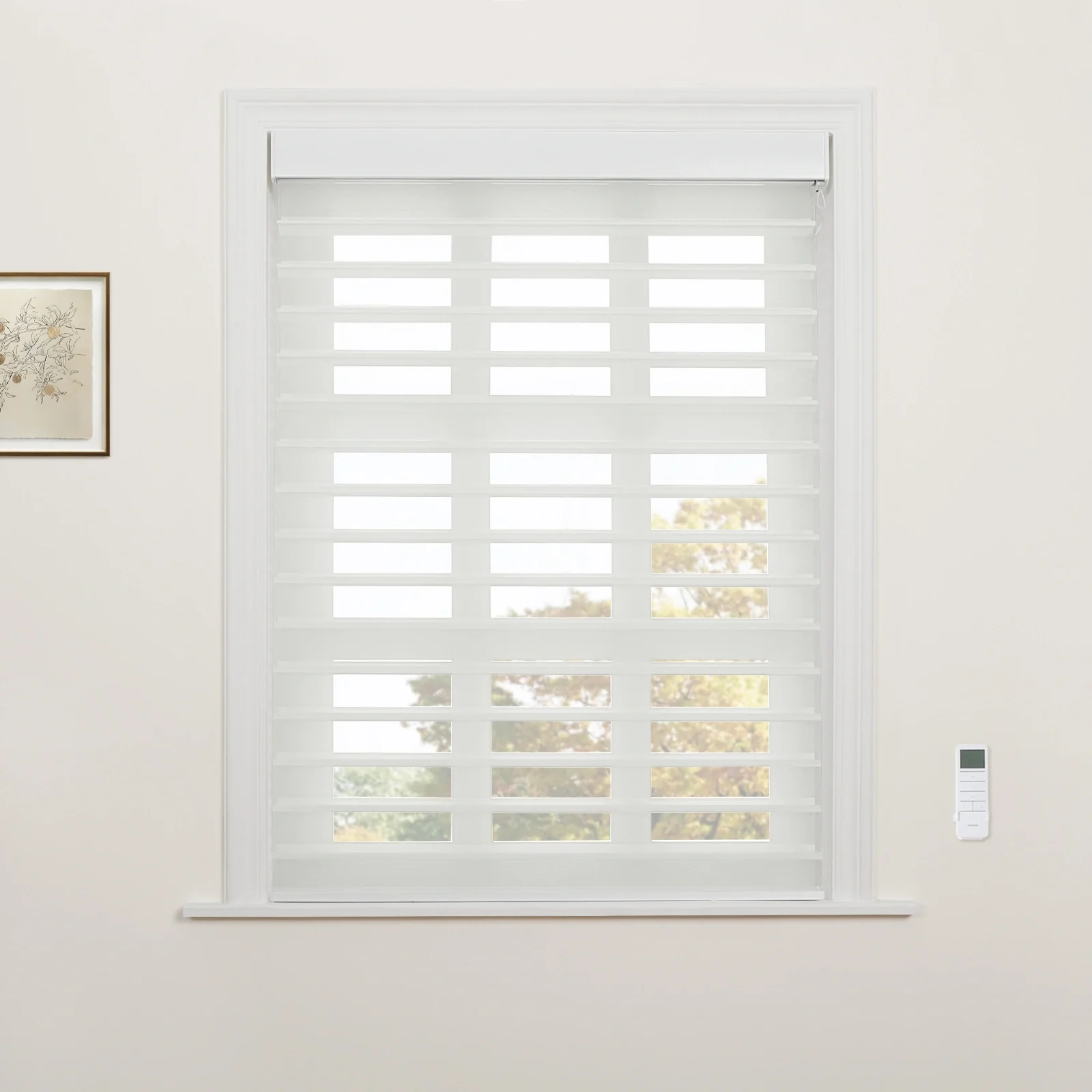 Motorized Shangri-La Light Filtering Sheer Shade - Image 2