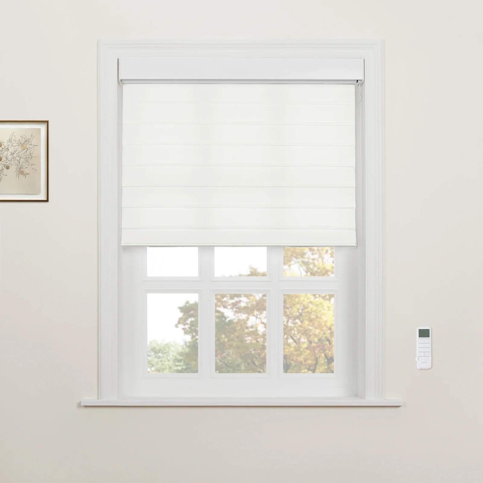 Motorized Shangri-La Light Filtering Sheer Shade - Image 31