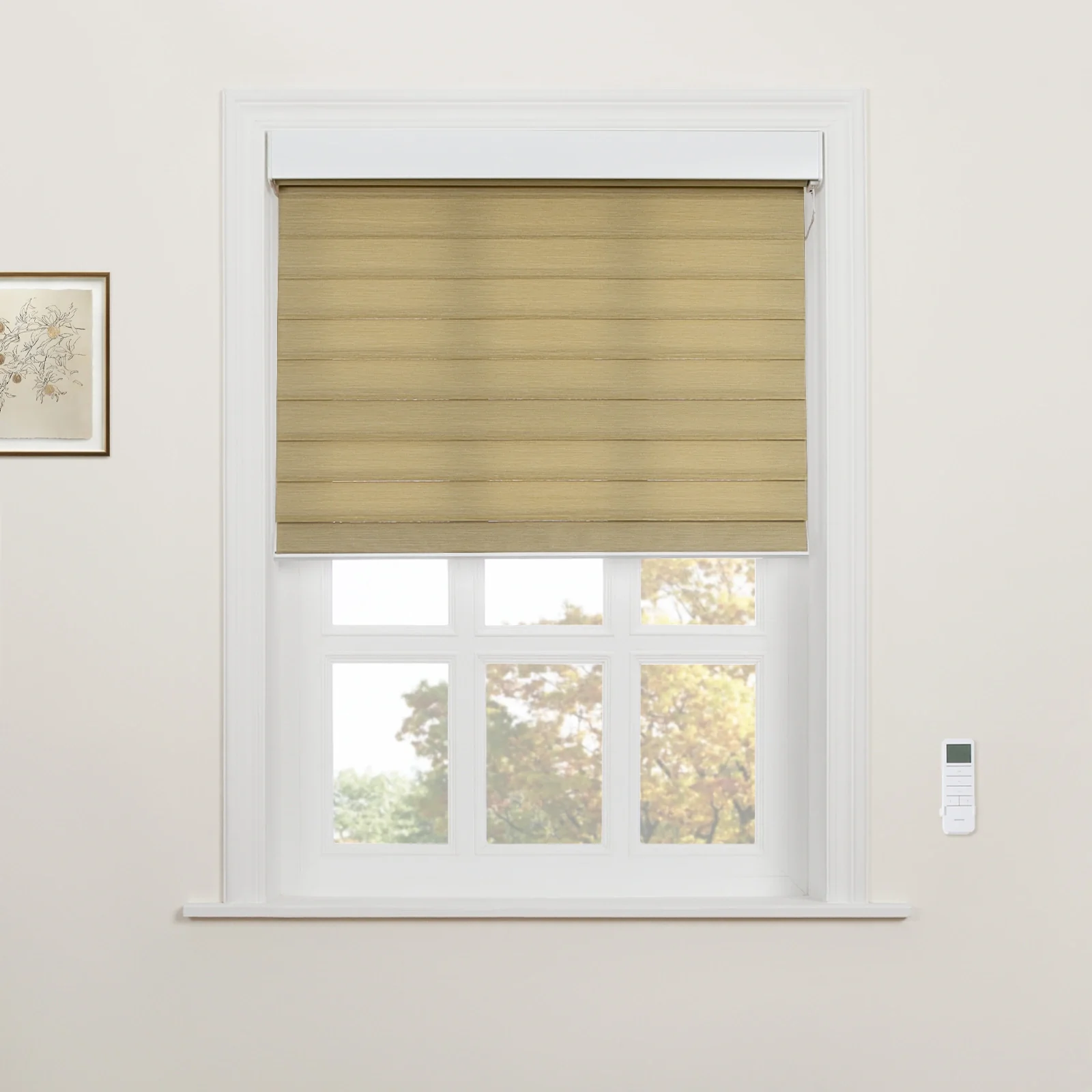 Motorized Shangri-La Light Filtering Sheer Shade - Image 53