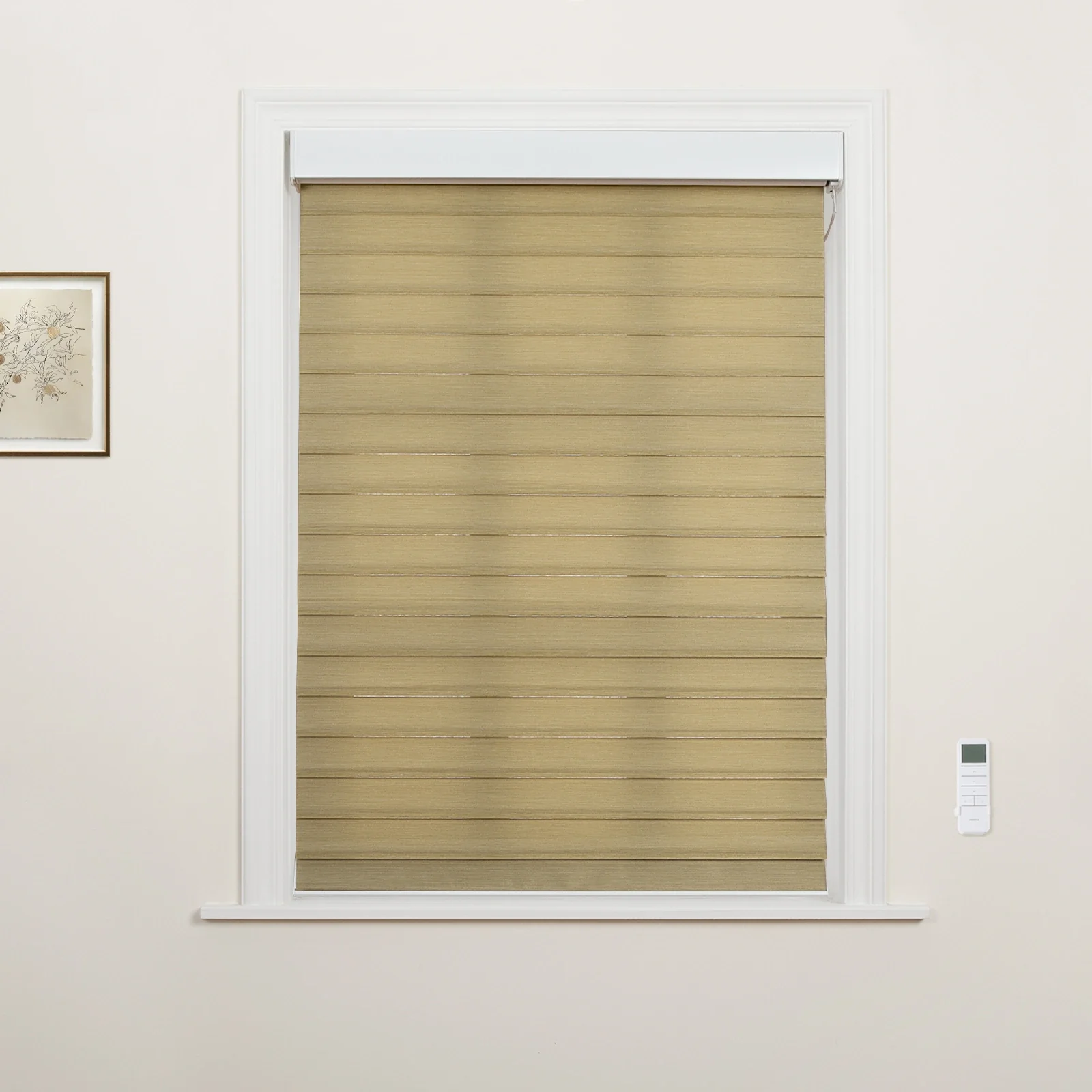 Motorized Shangri-La Light Filtering Sheer Shade - Image 55