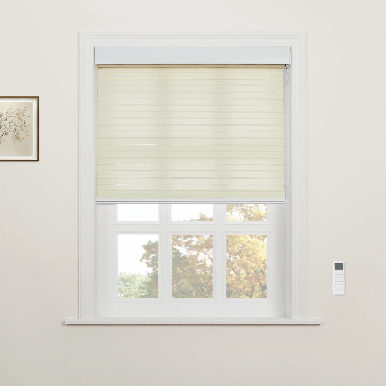 Motorized Shangri-La Light Filtering Sheer Shade - Image 68
