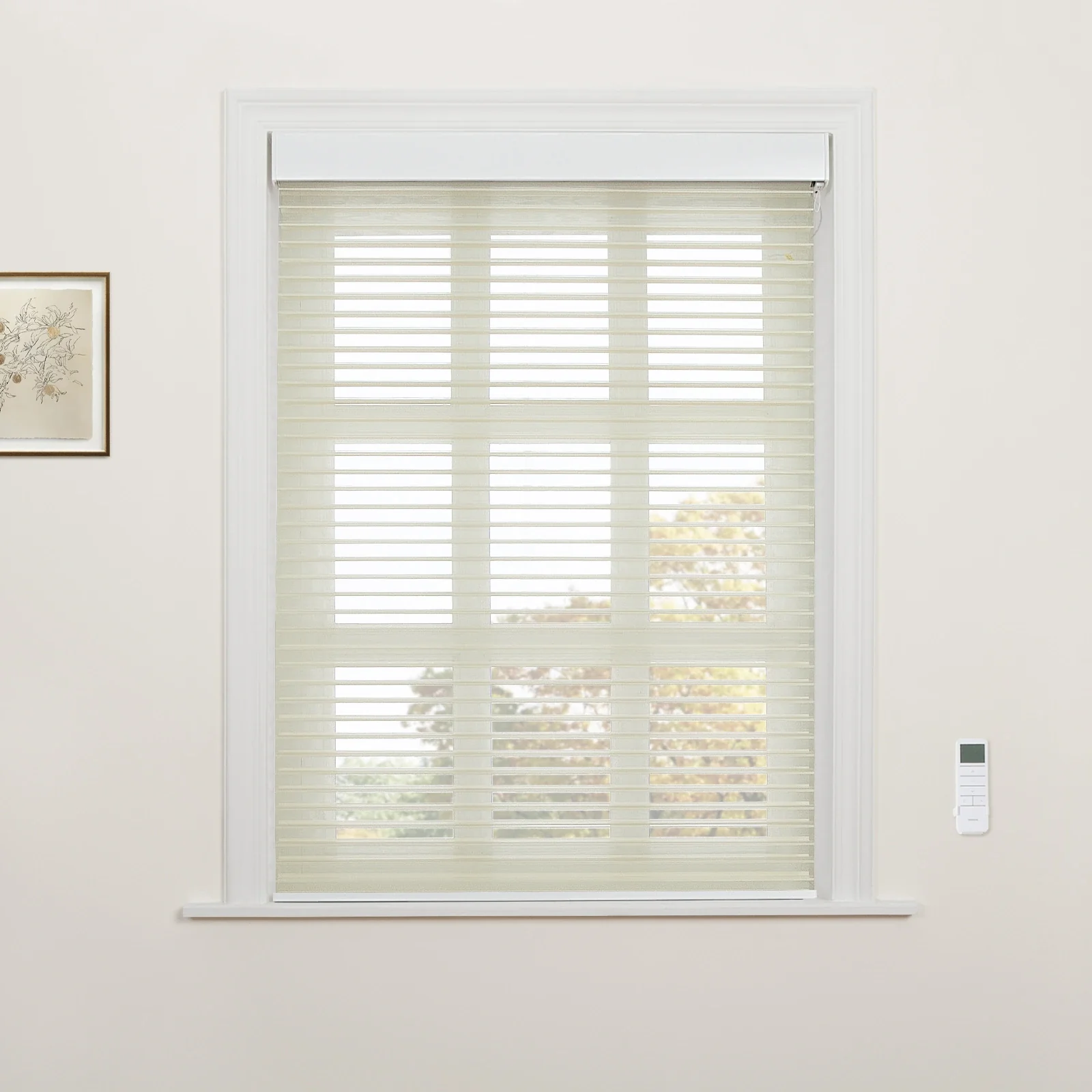 Motorized Shangri-La Light Filtering Sheer Shade - Image 69