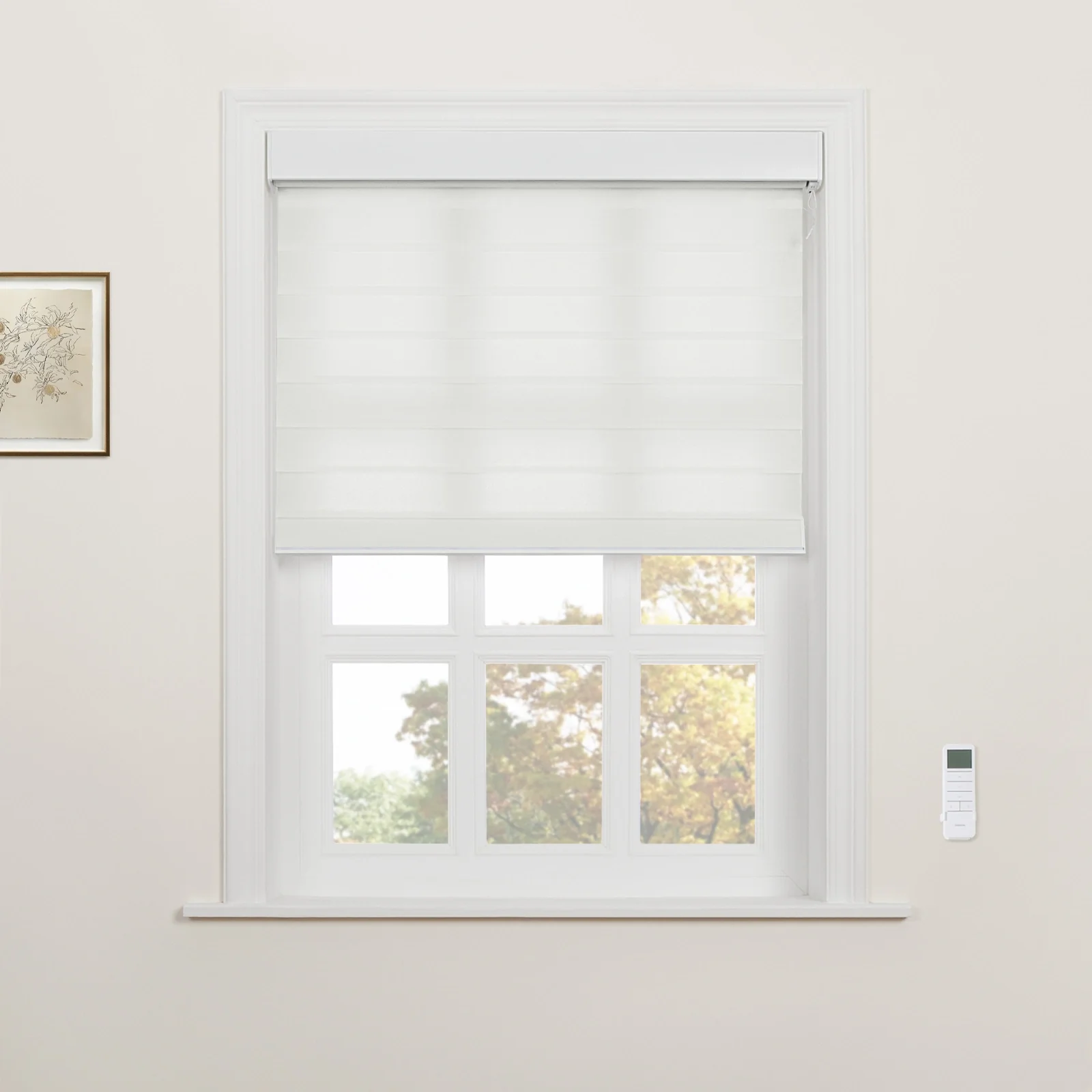 Motorized Shangri-La Light Filtering Sheer Shade - Image 8
