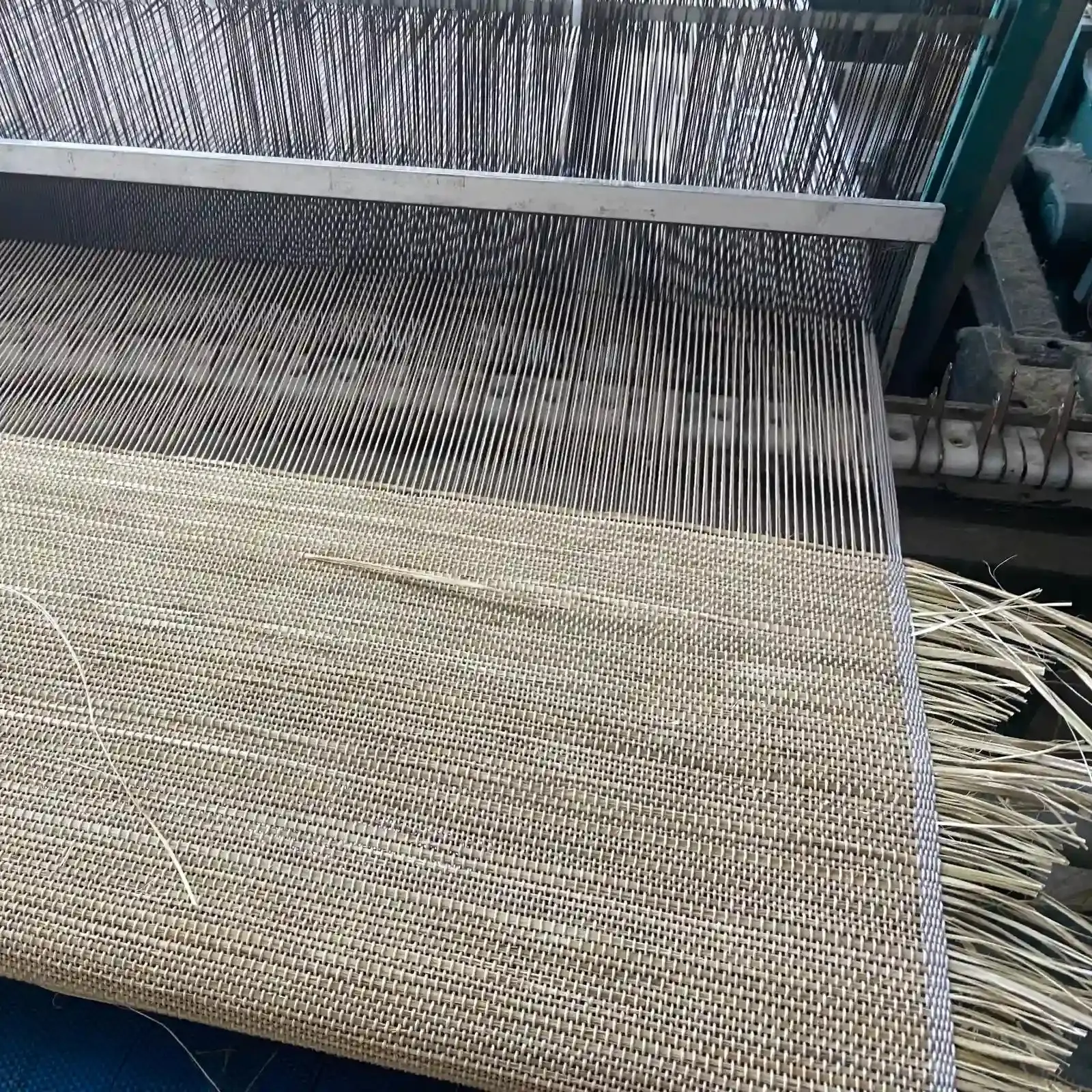 Lay Natural Ramie Bamboo Woven Shade - Beige - Image 23