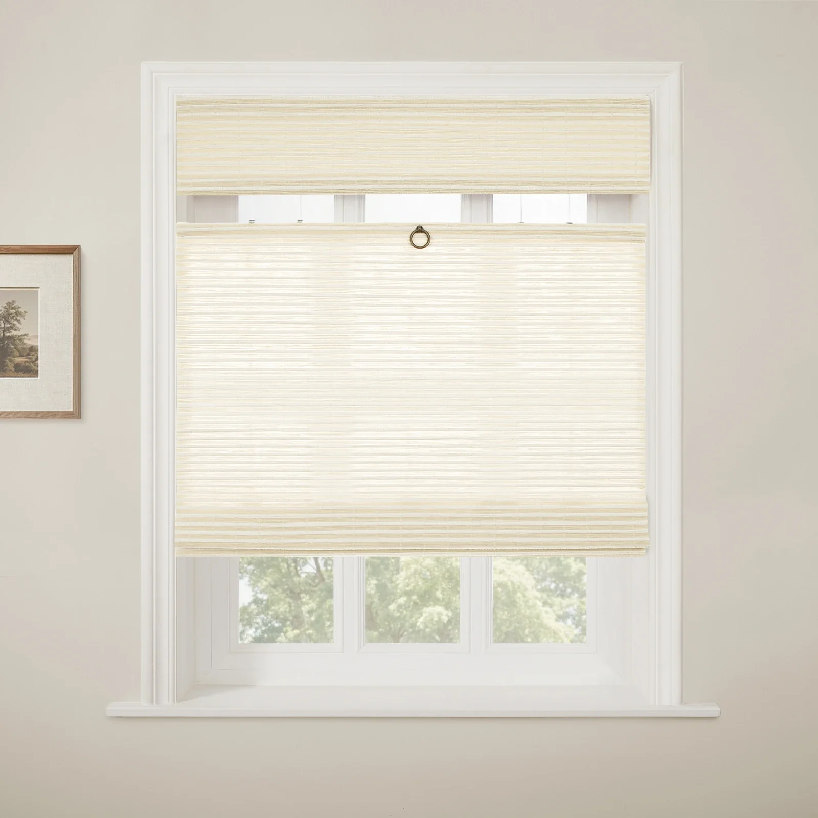 Rae Top Down Bottom Up Woven Wood Shade Cordless - Series W - Image 44