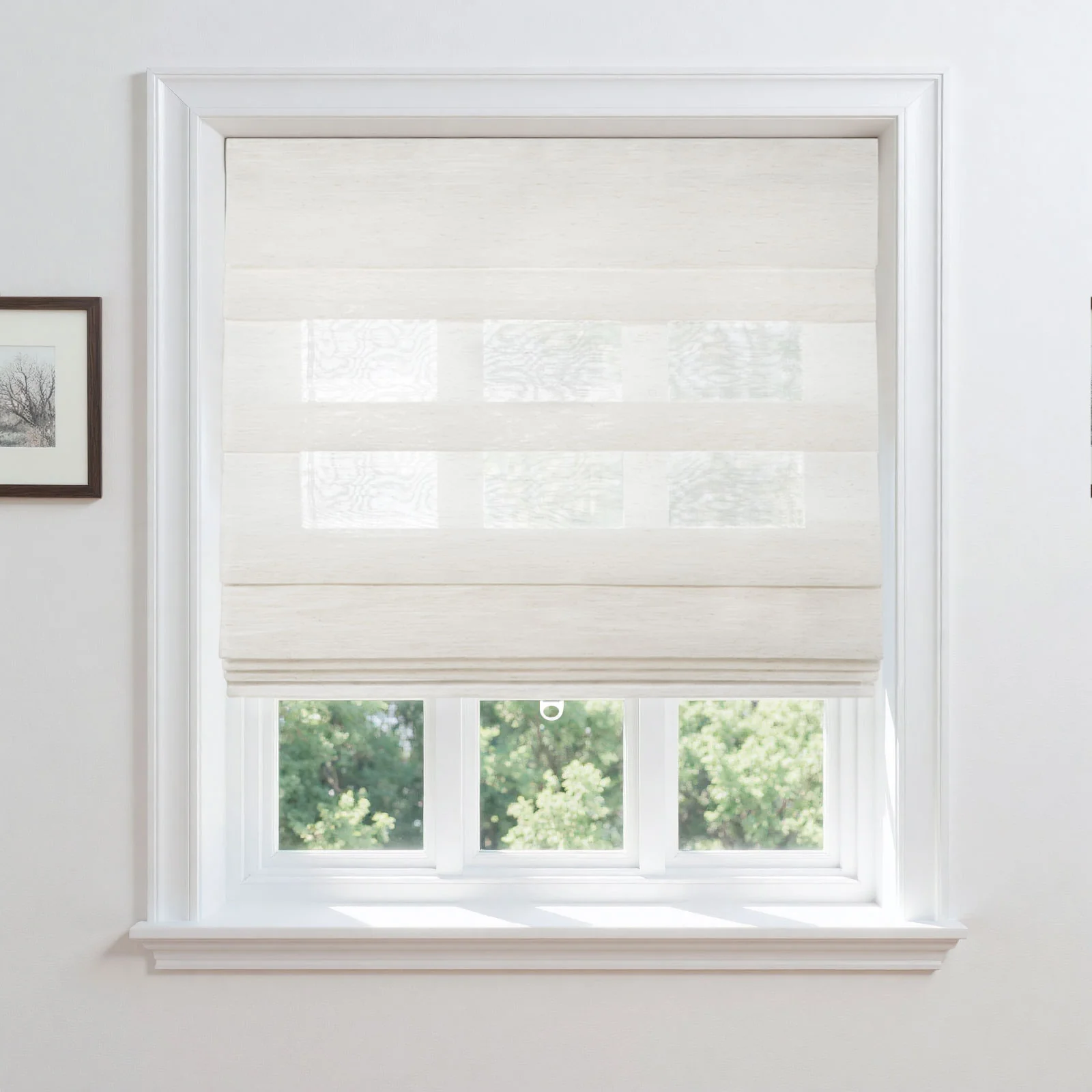 Top Down Bottom Up Soft Fold Sheer Roman Shades Cordless - Image 3