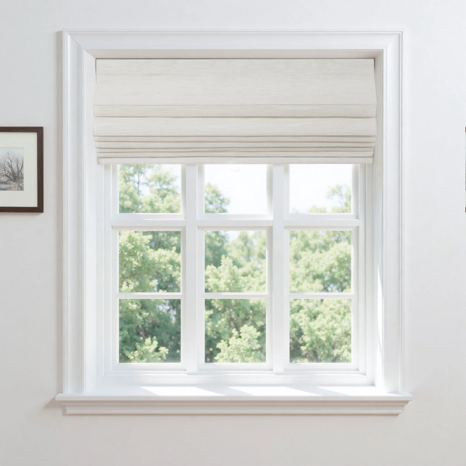 Top Down Bottom Up Soft Fold Sheer Roman Shades Cordless - Image 4